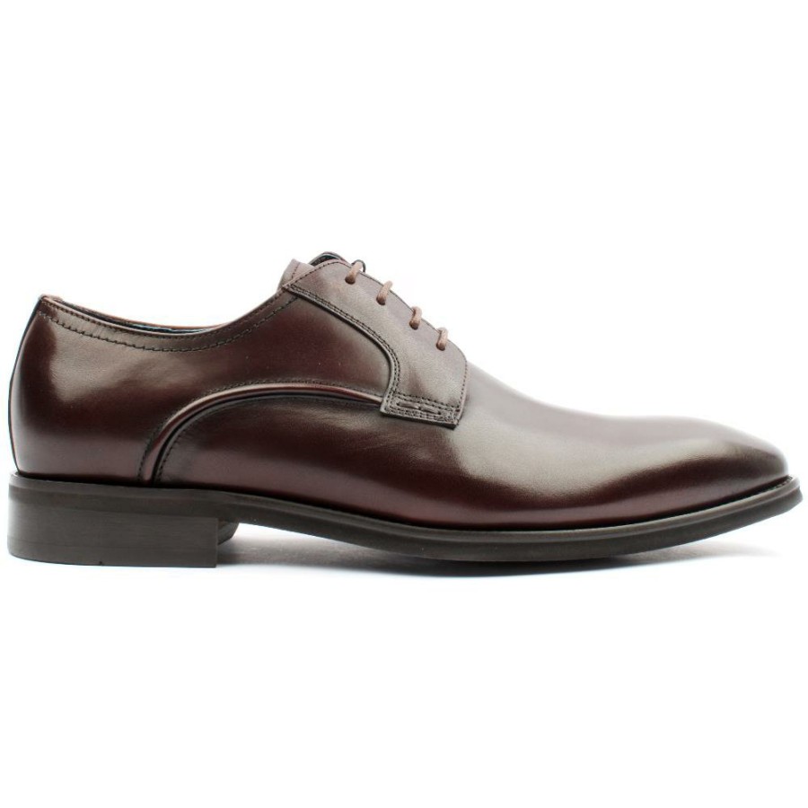 Men Lloyd & Pryce | Lloydandpryce Prisco Laced Shoe - Dark Brown